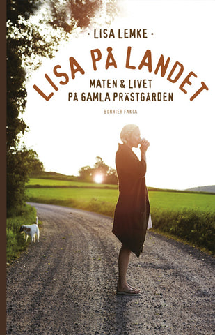 130 Anything Is Possible With Lisa Lemke Dream Life