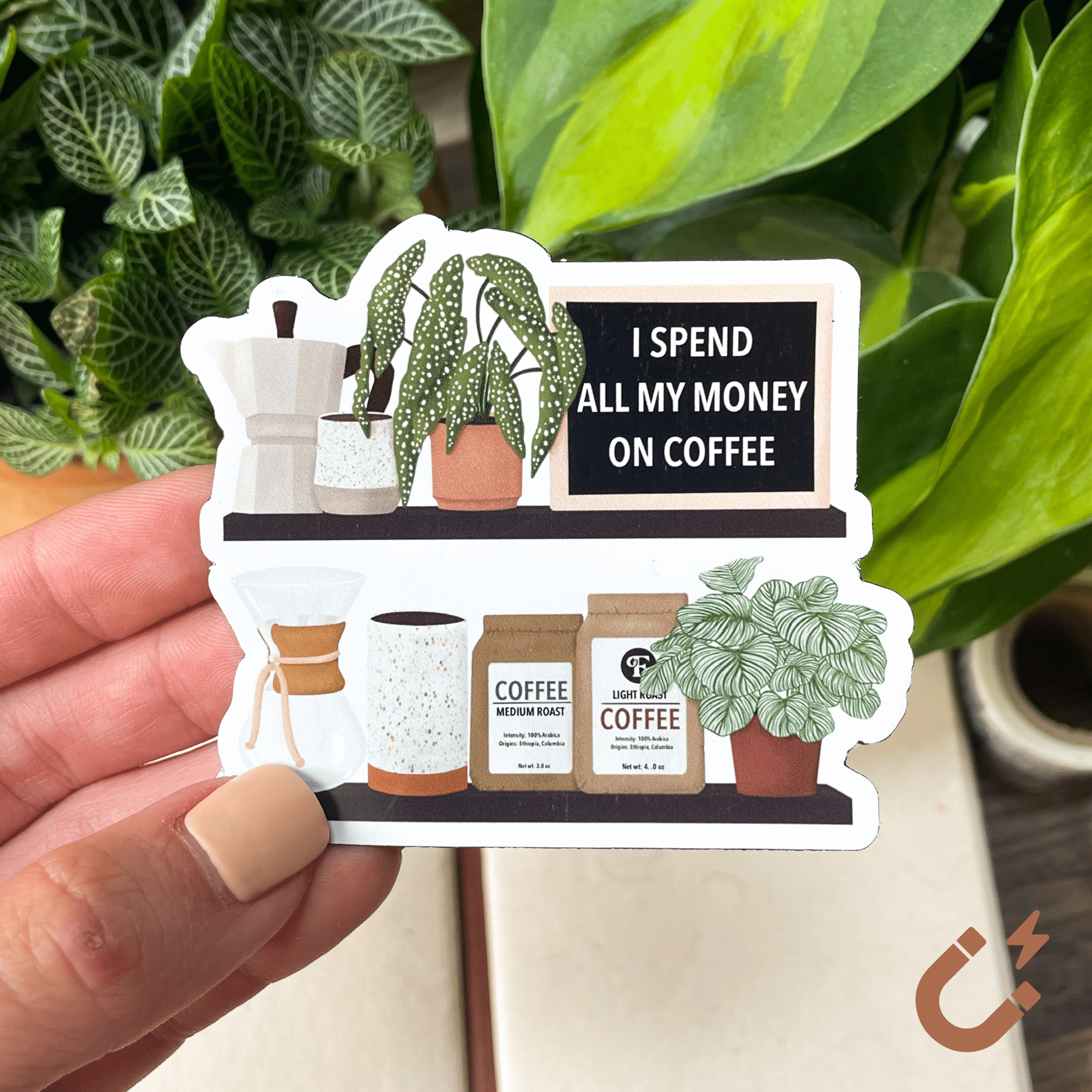I Spend All My Money On Coffee Magnet Fittonia Co
