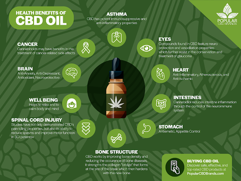 Cbd Oil 12 Benefits Uses Everything You Need To Know Batch
