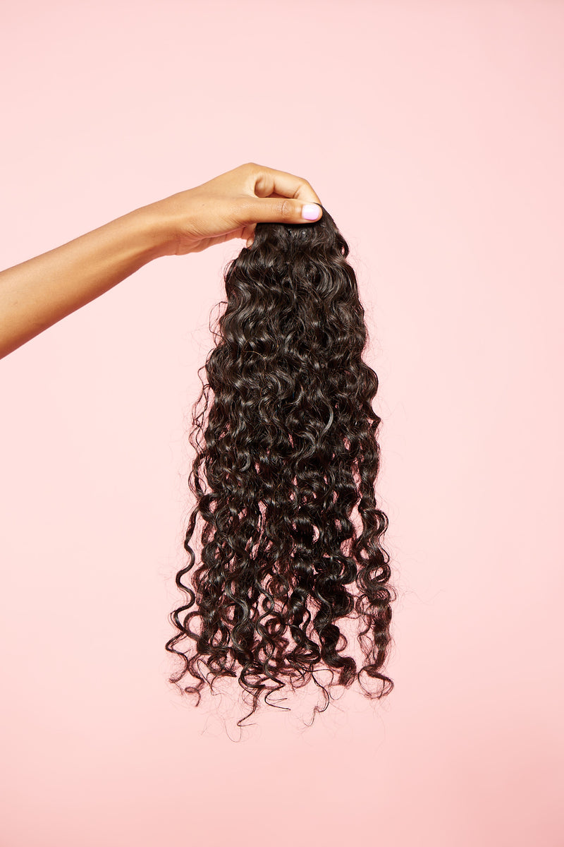 Burmese Curly Shenatribe