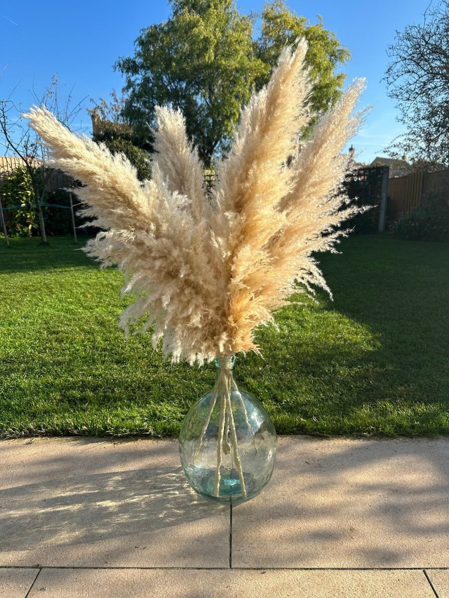 43 Cm Floor Bottle Vase With 115cm Pampas Grass Set Norfolk Pampas