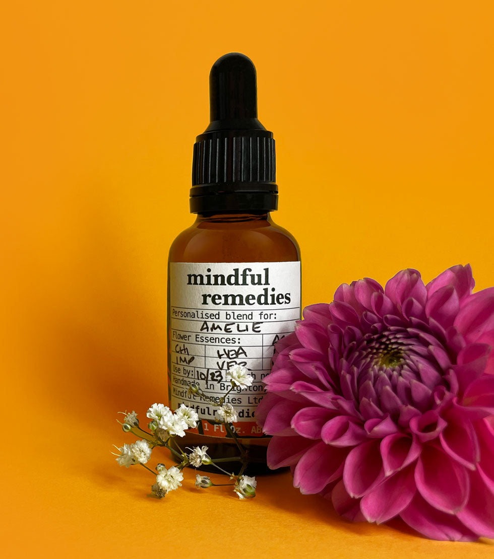 Bach Flower Practitioner Online Consultations With Lucy Edwards Mindful Remedies