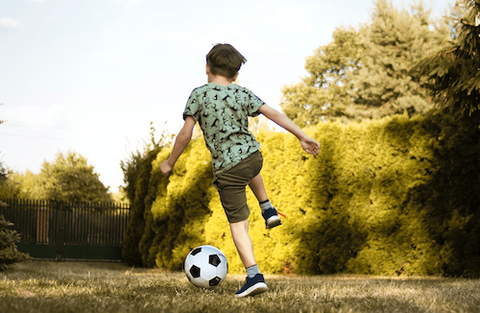 Ivisons Essentials Lazy Lawn Grass Seed Mix