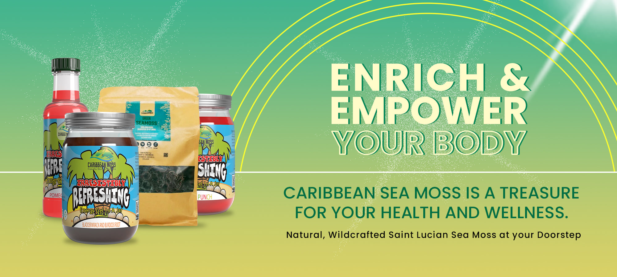 Buy Raw Organic Wildcrafted Premium St Lucia Sea Moss Caribbean Moss