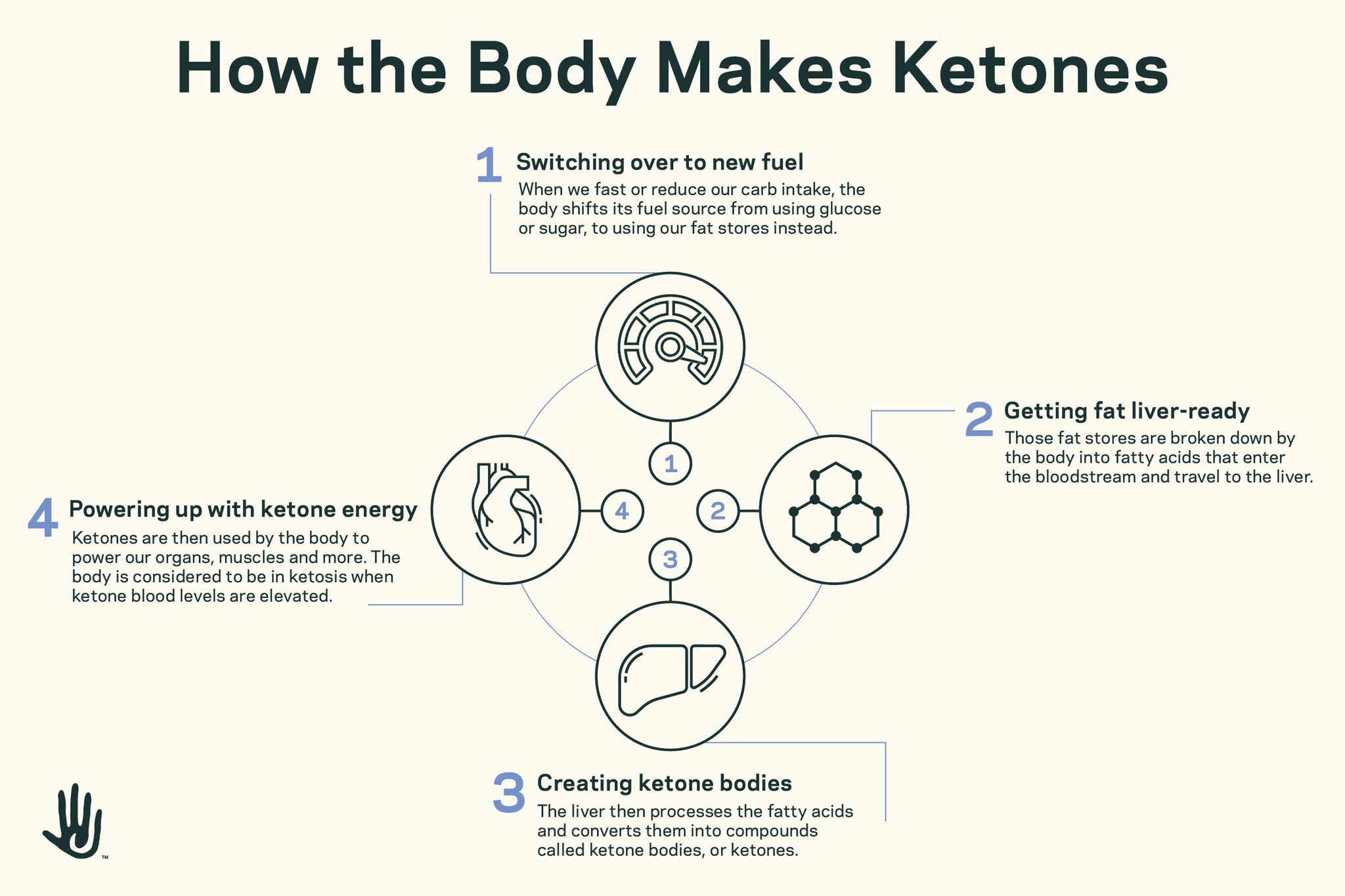 Keto Diet Explained Science Based Diet Juvenescence