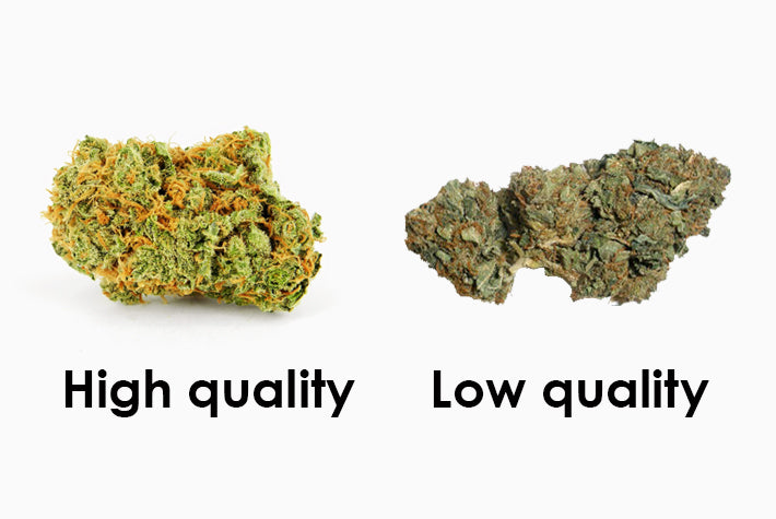 How To Identify Top Shelf Weed Cannador