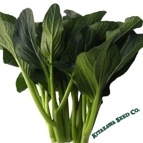 Kitazawa Seed Company Asian Oriental Vegetable Herb Seeds