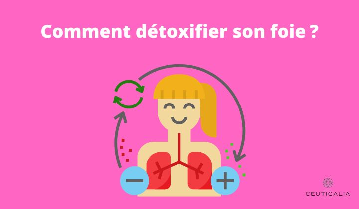 Comment Detoxifier Son Foie Ceuticalia Com Ceuticalia