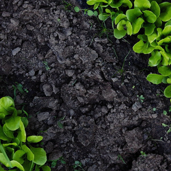 How To Compact Soil Using Water