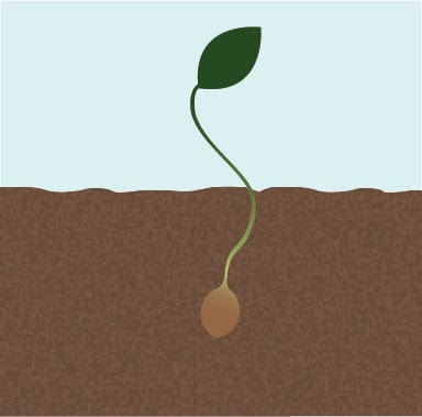 How To Compact Soil Using Water