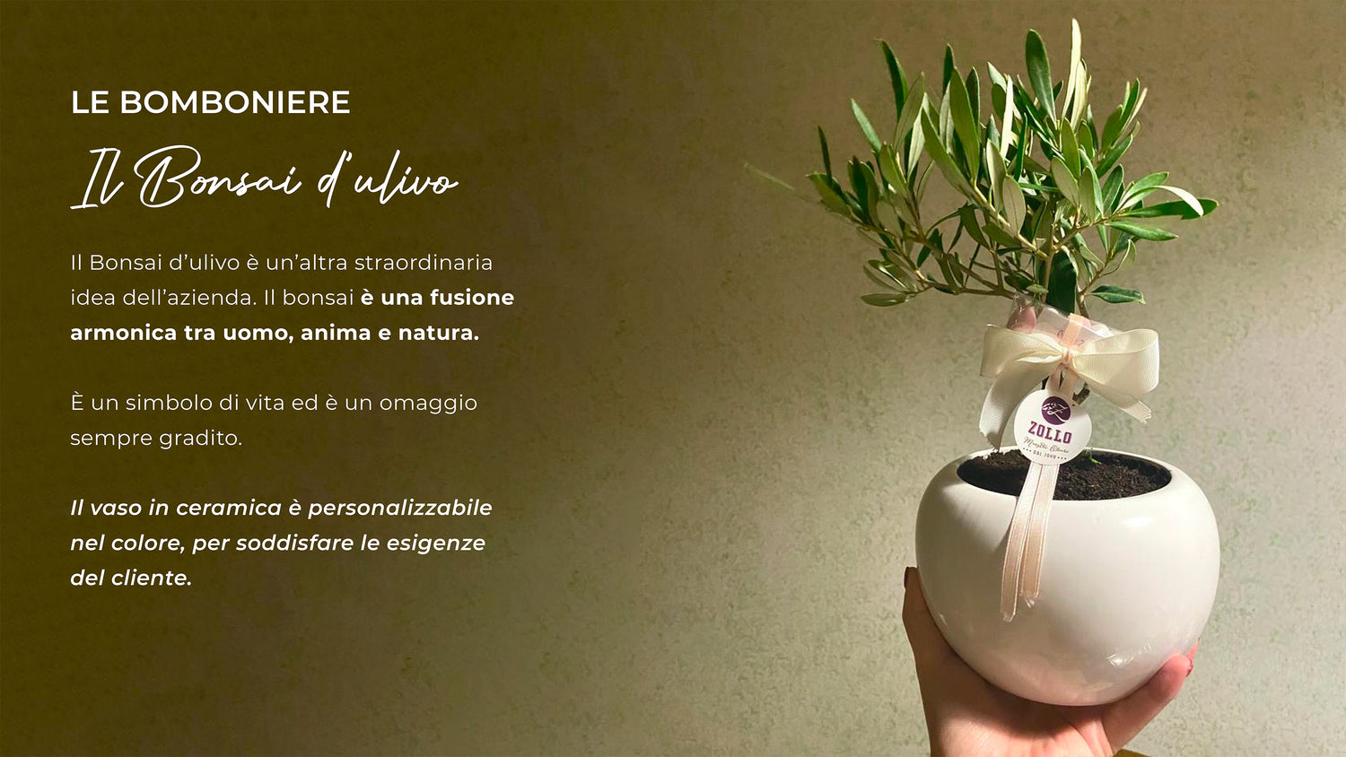Olearia Zollo Srl