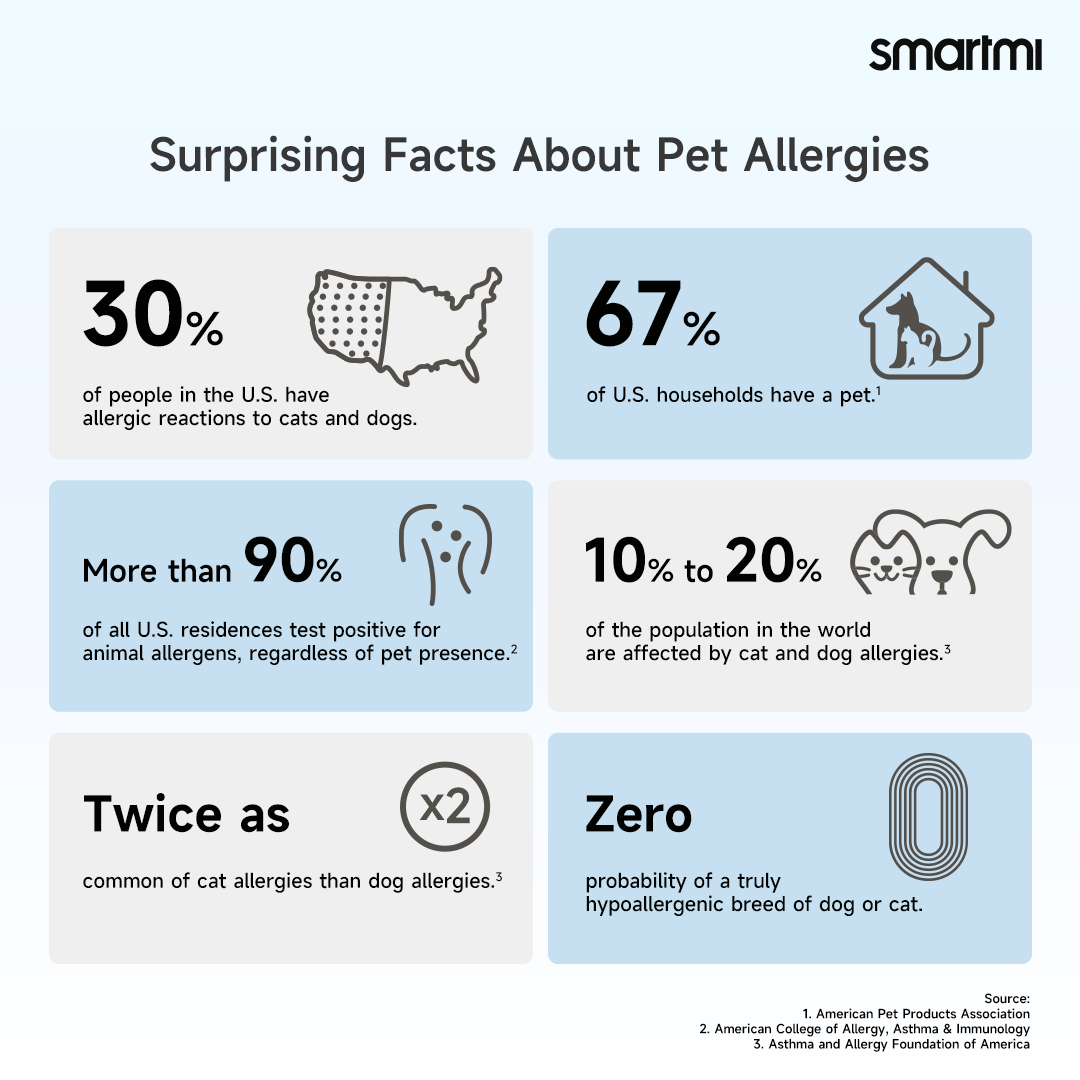 Is Your Dog Happy These 10 Signs Reveal The Truth