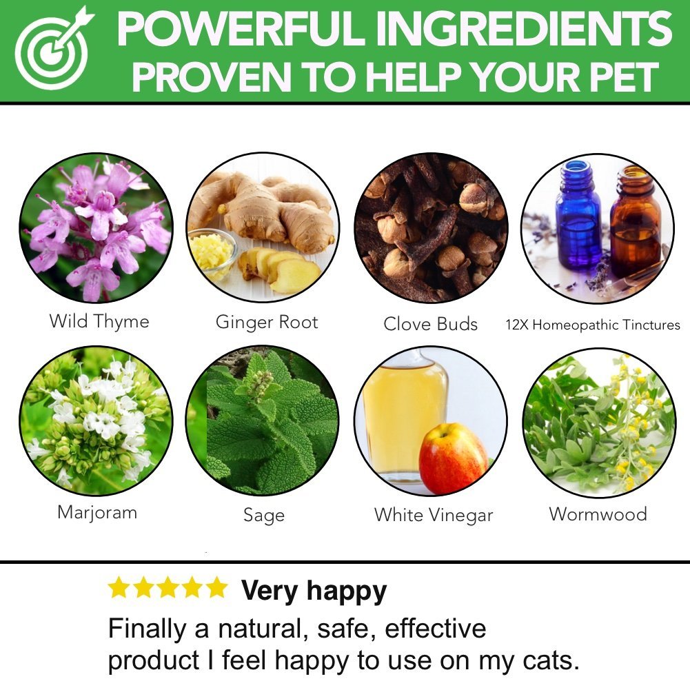 Complementary Feed With Worm Wood That Maintains Your Pets Normal Intestinal Flora For A Happy Healthy Life The Healthy Dog Co
