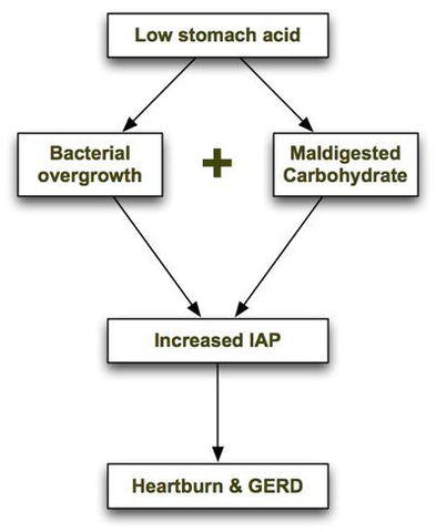 What Causes Acid Reflux And How To Relieve It Nature S Source