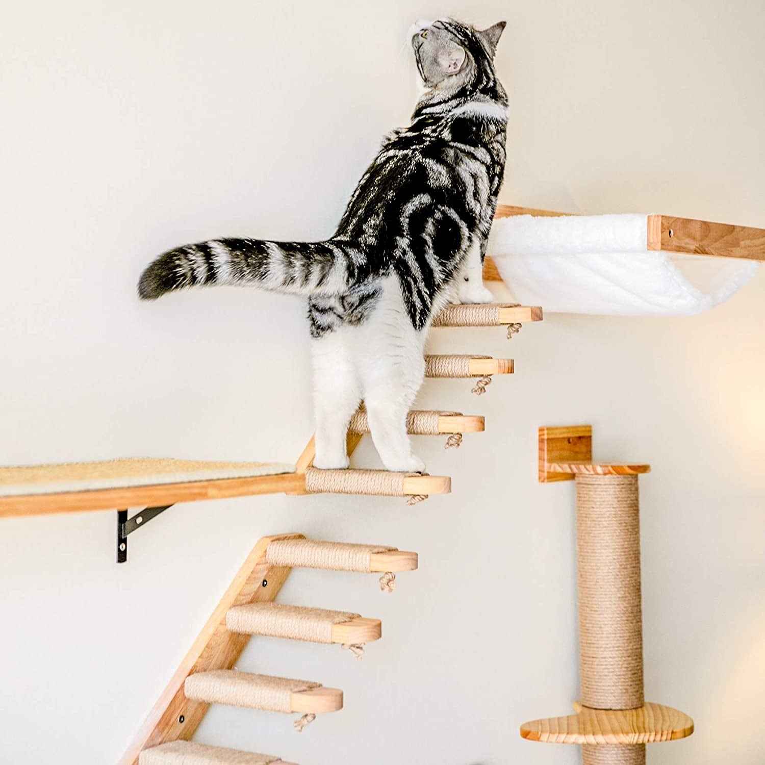 Arbre A Chat Mural En Bois Avec Etageres Murales Pour Chat Et Hamac Loveanimalz