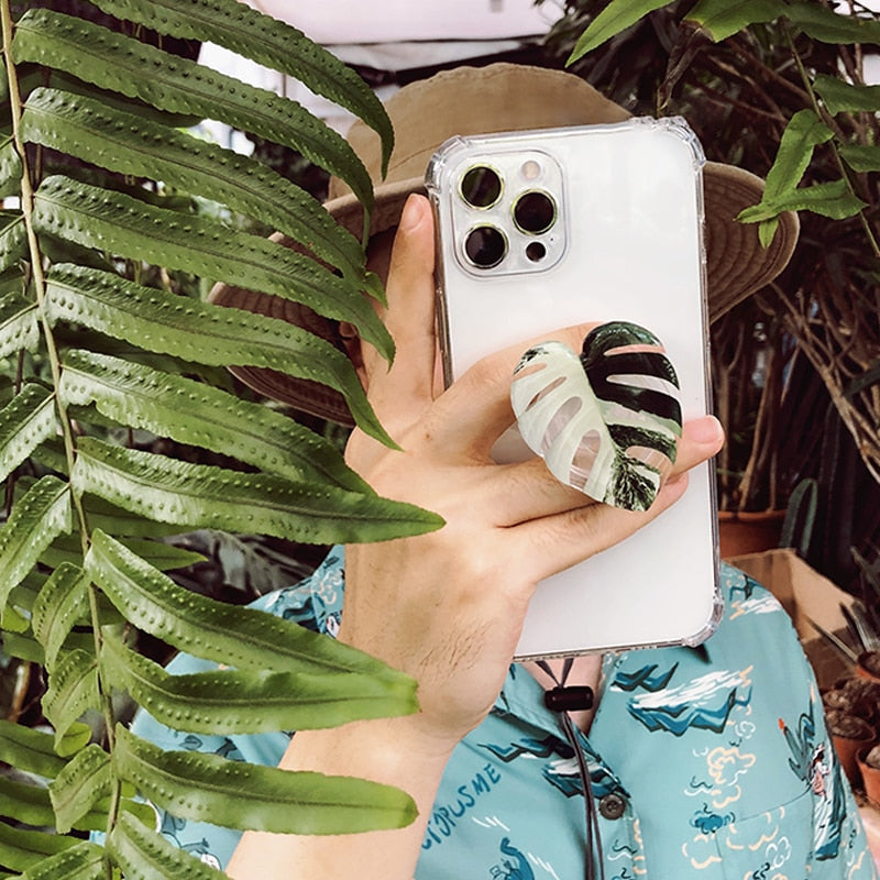 Plant Pop Socket Bozzh