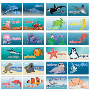 Creanoso Sea Creatures Flashcards For Children A Informational Educa