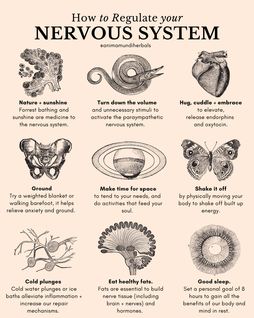 13 Ways To Regulate Your Nervous System