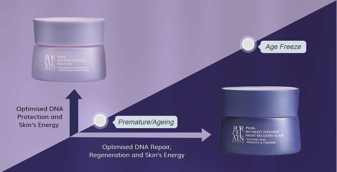 Bio Reset Intensive Night Recovery Elixir Porcelain Skin