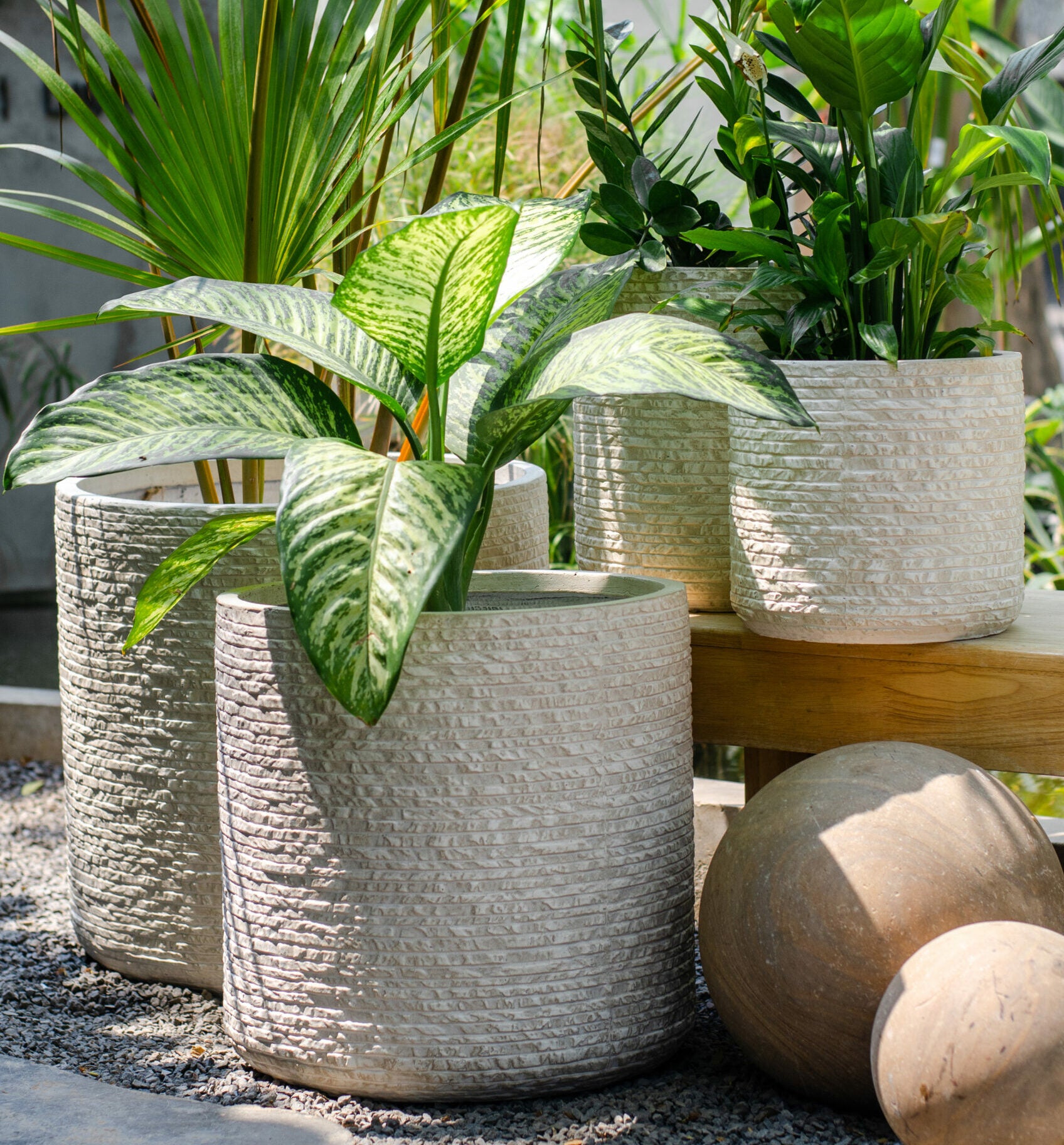 Palasa Studio Planters Nursery Store Online In India Home Living
