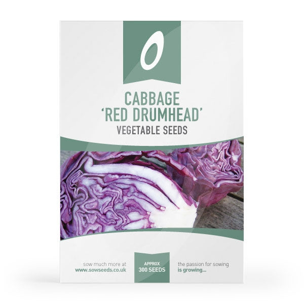 Cabbage Red Drumhead Seeds Quality Seeds From Sow Seeds Ltd
