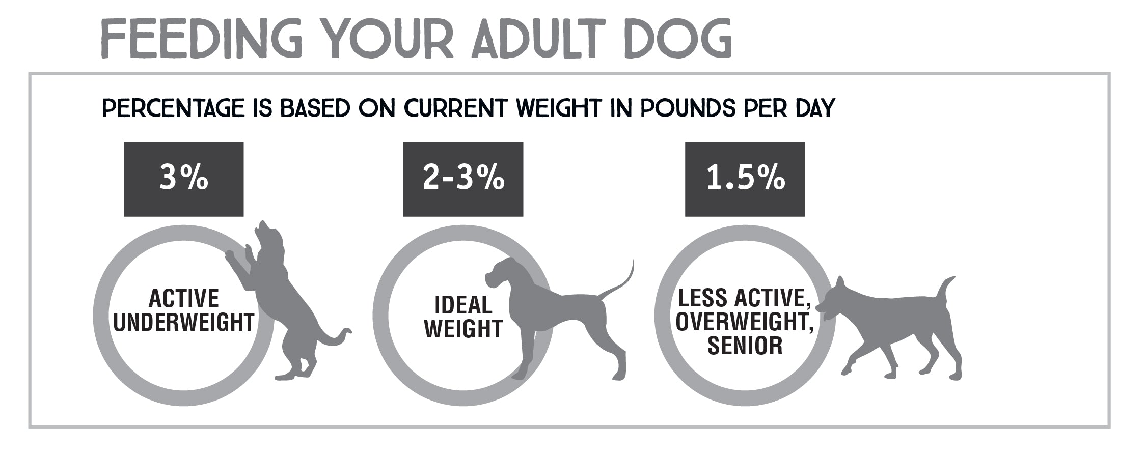 How Much Raw Food Should I Feed My Dog Iron Will Raw Iron Will Raw Inc