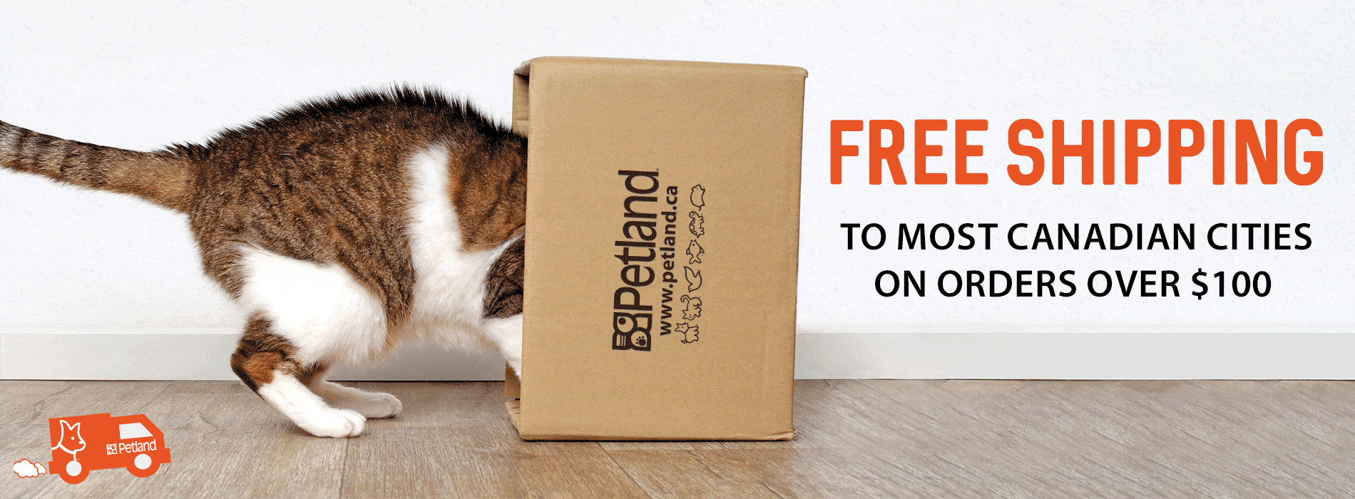 Pet Supplies Pet Food Pet Products Pet Toys Dog Grooming More Petland Canada