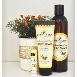 Bee By The Sea Indulgence Collection Objects Of Desire Artful Living