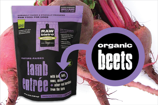 Can Dogs Eat Beets Benefits Of Beets For Dogs Raw Bistro