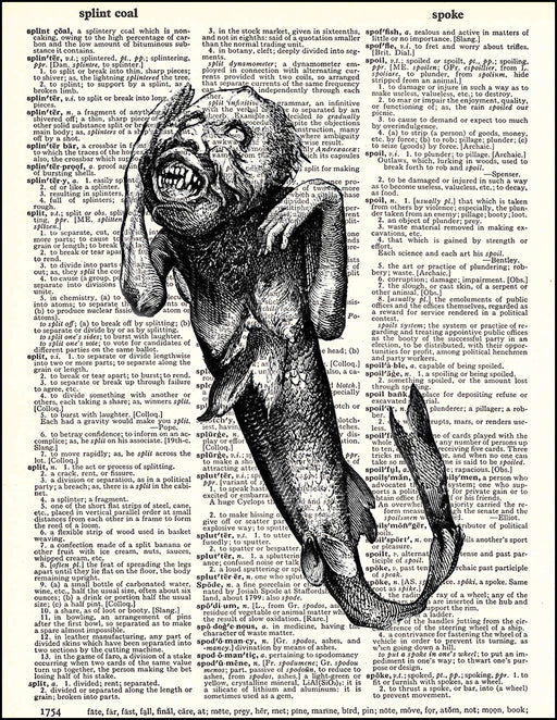 Fiji Mermaid Dictionary Art Print Fresh Prints Of Ct