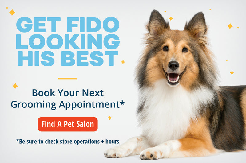 Pet Supplies Dog Grooming Stock Up On The Best Dog Food Cat Toys Petsense