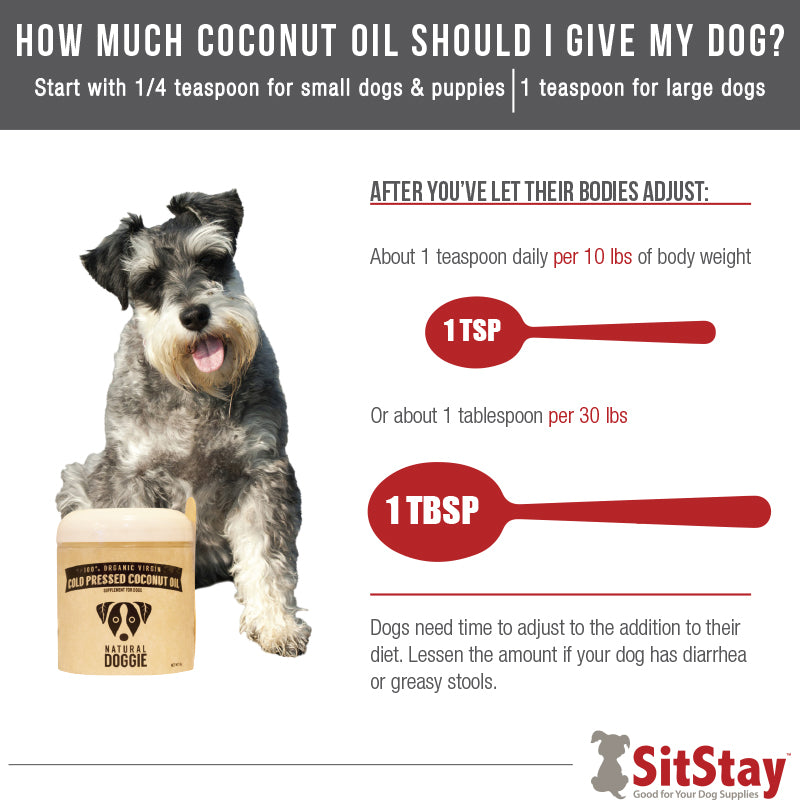 Coconut Oil For Dogs The Ultimate Guide 2022 Sitstay