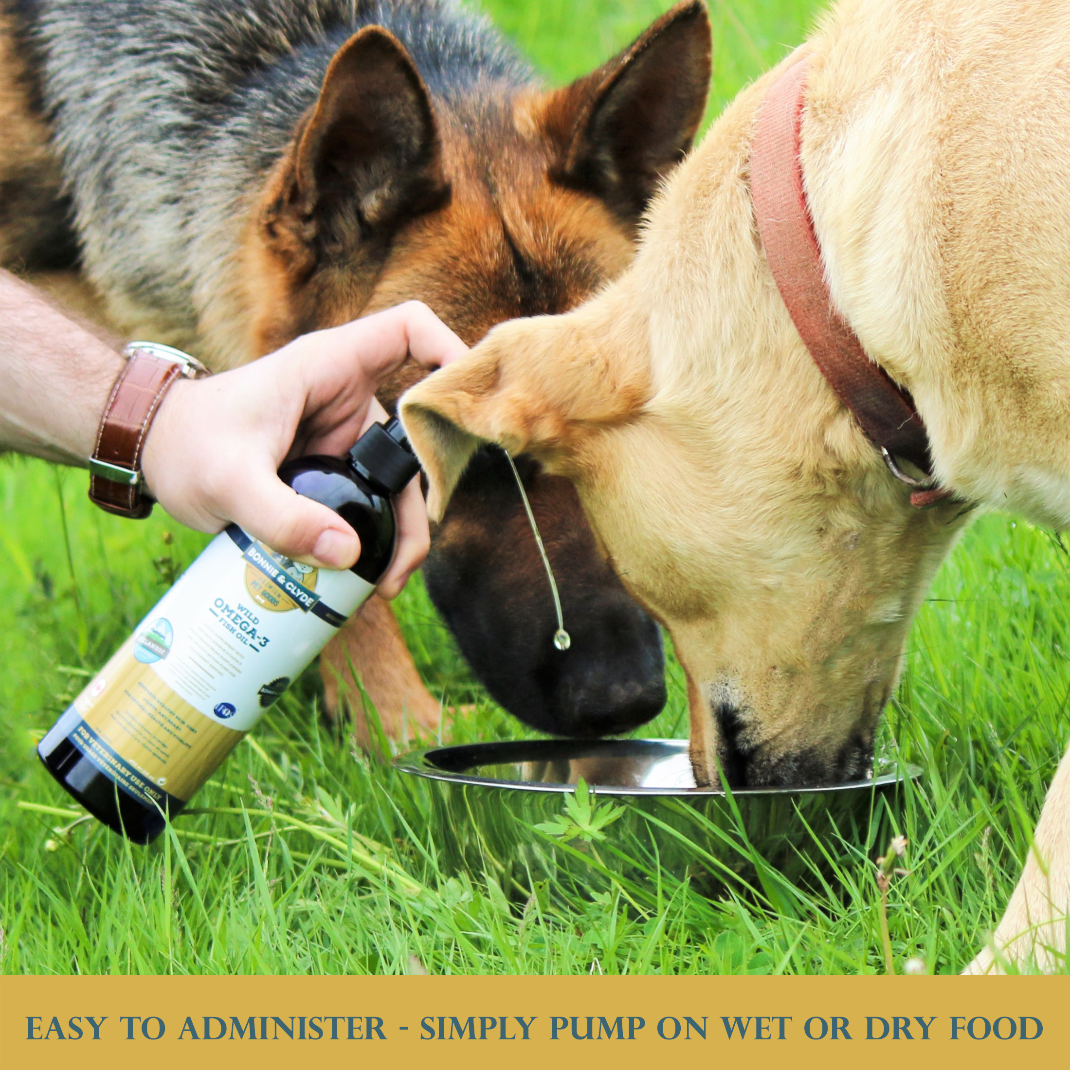 Wild Omega 3 Fish Oil For Pets Natural Vitamin E Pump Bonnie And Clyde Pet Goods