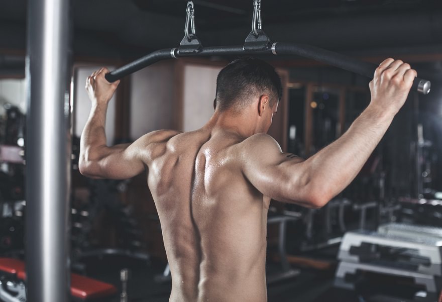 Back Workouts 5 Exercises To Work Into Your Lower Back Transparent Labs