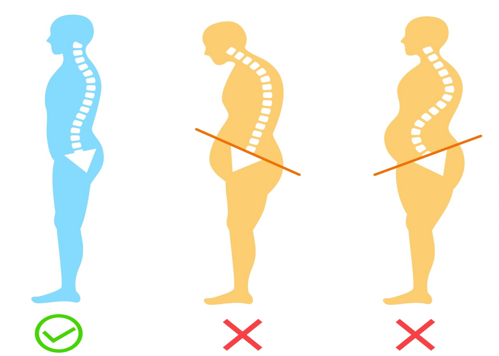 Best Exercises To Correct Anterior Pelvic Tilt Transparent Labs