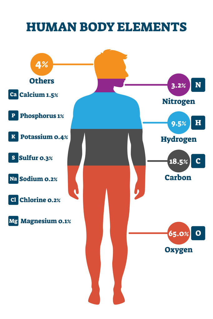 What Is Body Composition How To Calculate Body Fat Percentage Transparent Labs