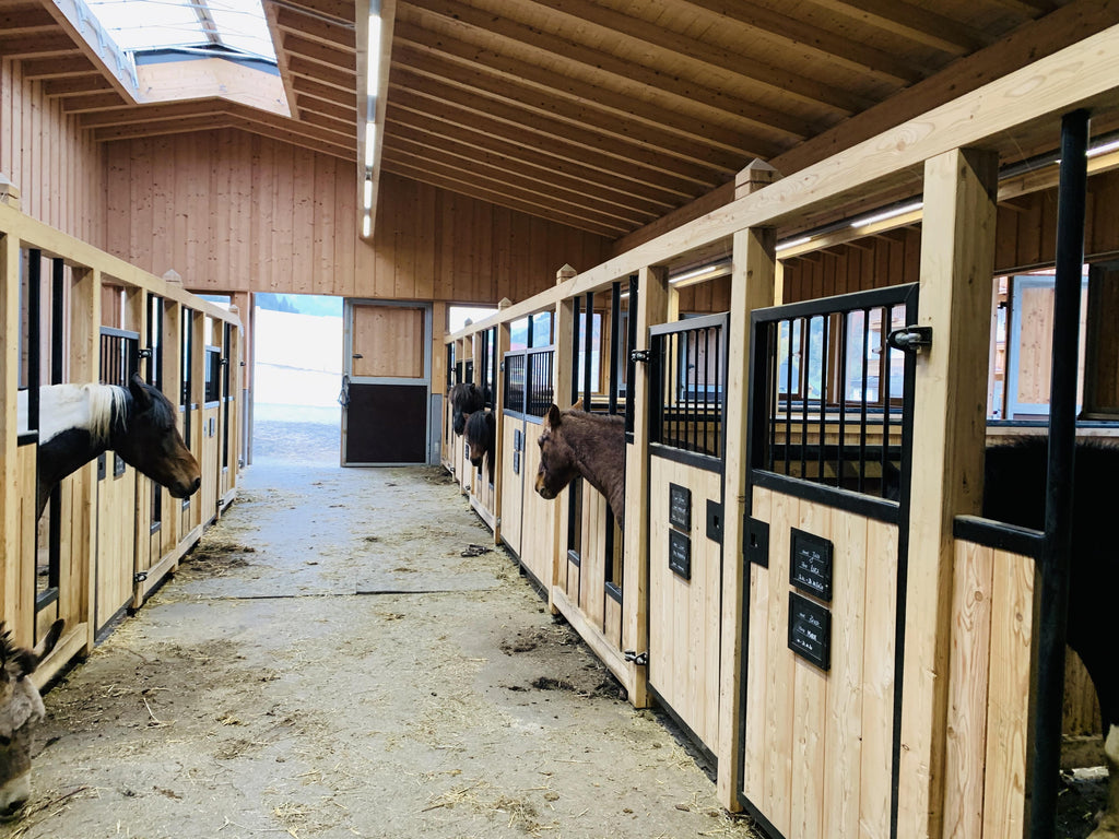 Familien Natur Resort Moar Gut Liebevoller Luxus Fur Anspruchsvolle Kidswoodlove