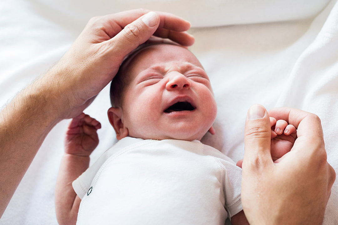 7 Reasons Why Babies Cry In Their Sleep And 5 Best Sleep Solutions Nested Bean