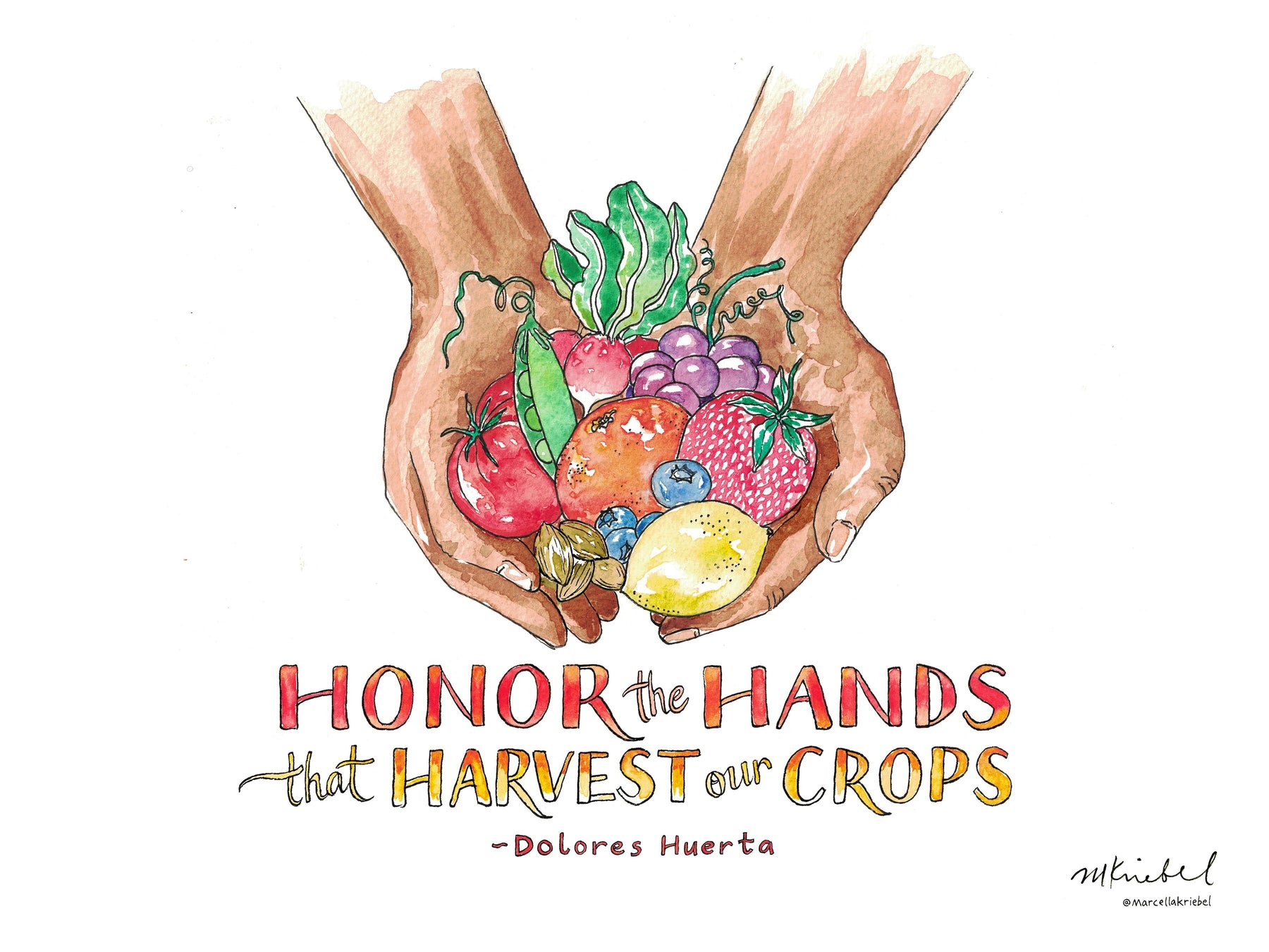 Honor The Hands That Harvest Our Crops Quote By Dolores Huerta Waterco Marcella Kriebel Art And Illustration