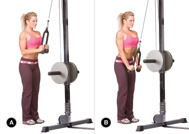 Best Arm Workout For Women Sundried