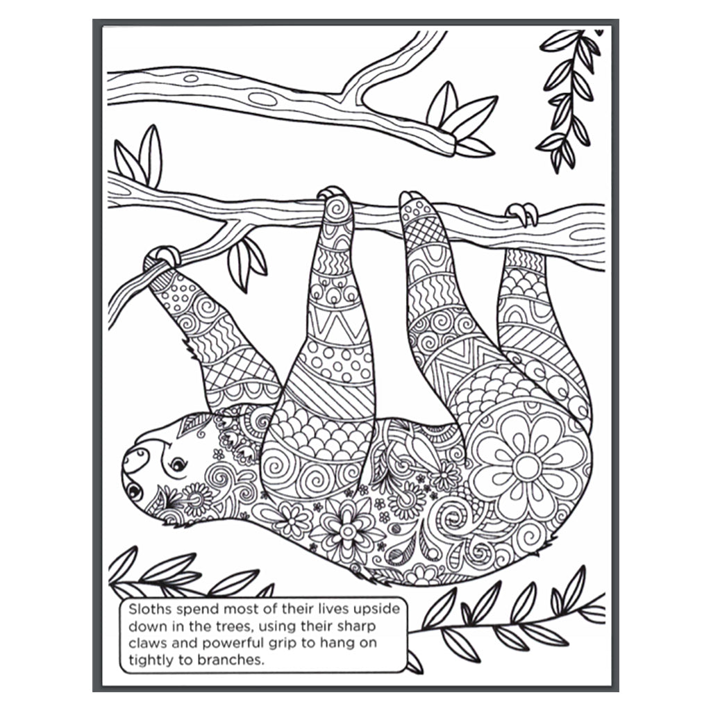 San Diego Zoo Safari Park Coloring Book Shopzoo