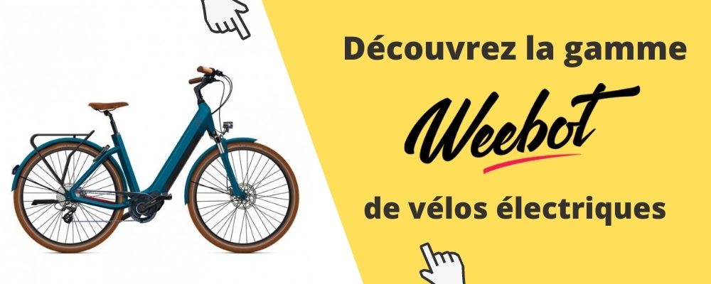 Comment Debrider Un Velo Electrique Guide Technique Et Legislatif