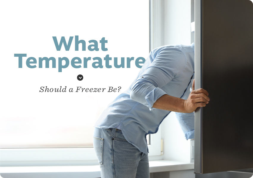 What Temperature Should A Freezer Be W P