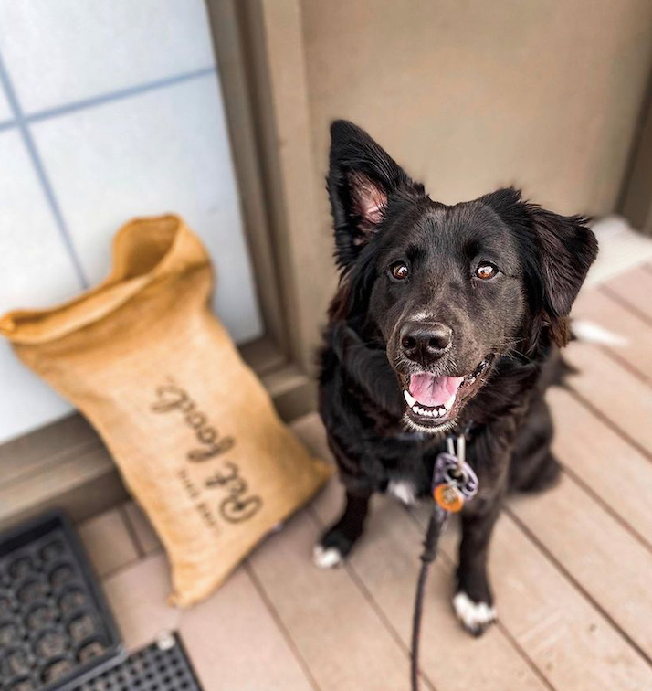 All Natural Dog Food Delivery Cleveland Ohio Lake Erie Pet Food Co