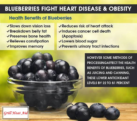 Scientific Health Benefits Of Blueberries Discovered By Grill Heat Aid