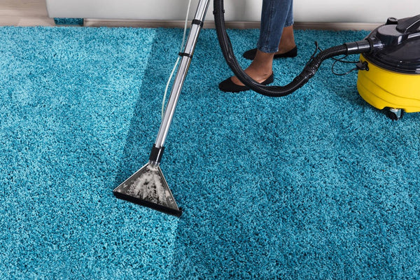 How To Clean Vomit From Carpet Tips Steps