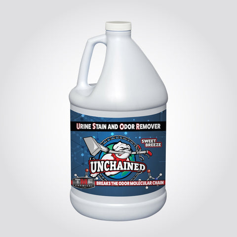 How To Clean Vomit From Carpet Tips Steps
