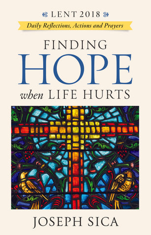 Finding Hope When Life Hurts Daily Reflections Actions Prayers En Novalis