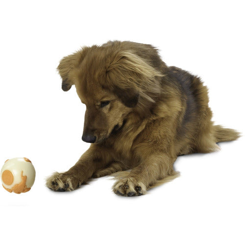 Planet Dog Orbee Tuff Ball Super Tough Dog Ball Toy The Pet Vault