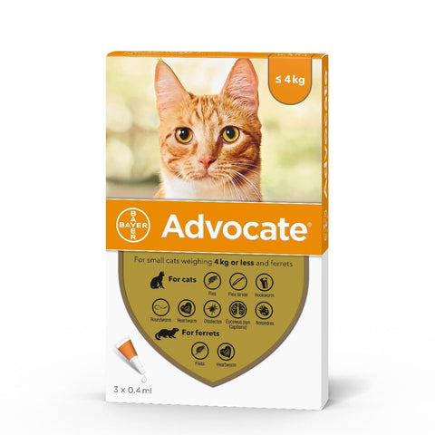 Advocate For Cats Flea Treatment Vetscriptions